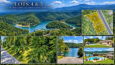 /international/us/foxwood-drive-caryville-tn-110110171613/