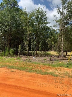 /international/us/deer-loop-lot-10-camden-al-110076821124/