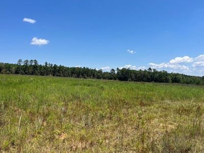 /international/us/lot-9-county-road-22-columbia-al-110098821349/?lang=zh-tw