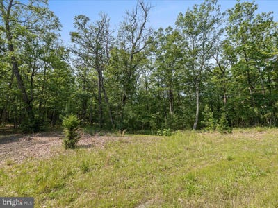/international/us/lot-4-highland-drive-high-view-wv-110100079740/?lang=zh-tw