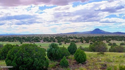 /international/us/rocky-hill-rd-lot-c-10-acres-ash-fork-az-110120450129/