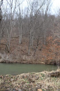 /international/us/1155-price-run-road-webster-springs-wv-110106499606/
