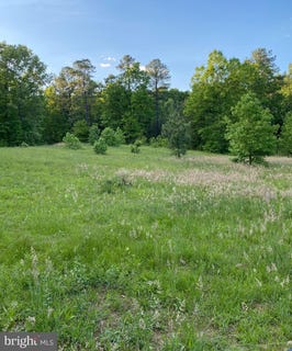/international/us/1301-lot-h1-eastham-road-bumpass-va-110099726251/