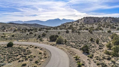 /international/us/1374-hunters-point-drive-gardnerville-nv-110106817286/
