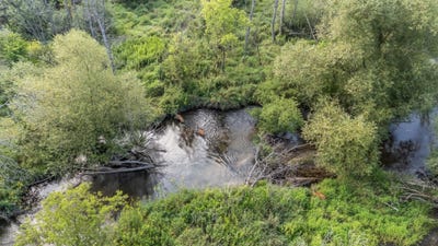 /international/us/pine-street-pine-river-wi-110101508641/?lang=es