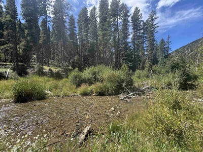 /international/us/1325-highway-150-taos-ski-valley-nm-110106430130/