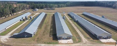 /international/us/1251-bardin-rd-palatka-fl-110106142342/