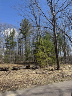 /international/us/archibald-lake-road-townsend-wi-110107784187/