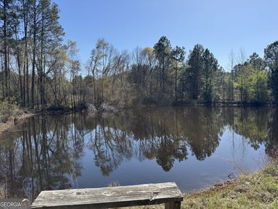 /international/us/442-fox-run-road-adrian-ga-110106302254/