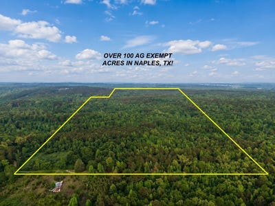 /international/us/county-road-2742-naples-tx-110105365559/