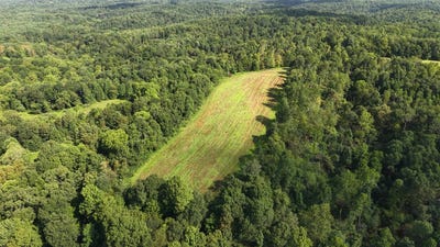 /international/us/state-route-555-cutler-oh-110119722564/