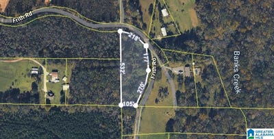 /international/us/19177-frith-road-lot-1-woodstock-al-110106477430/