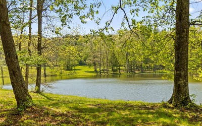 /international/us/384-acres-clouse-hill-road-tracy-city-tn-110099587061/