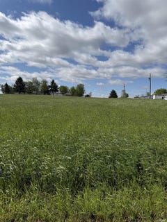 /international/us/terry-lake-road-tract-c-hamilton-in-110108026964/
