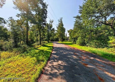 /international/us/17-ac-burnis-havard-road-perkinston-ms-110120027222/