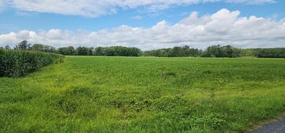 /international/us/-bullbeggar-rd-lot-0021-withams-va-110108200392/