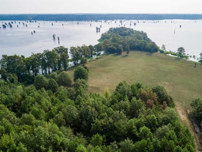 /international/us/tbd-collier-road-lewisville-ar-110096033935/
