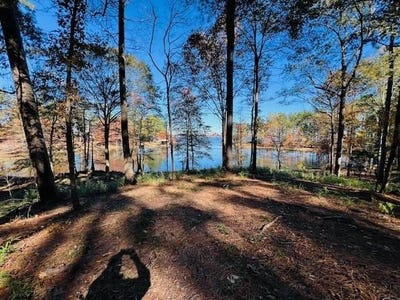 /international/us/174-whispering-pines-rd-milam-tx-110105936366/