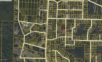/international/us/9105-ruff-road-youngstown-fl-110032923842/