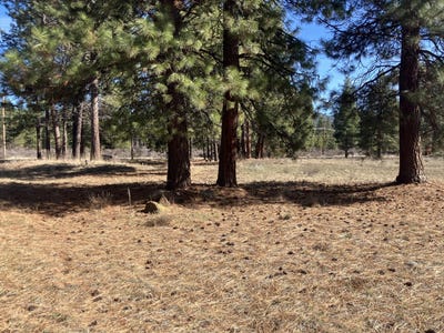 /international/us/winema-peninsula-chiloquin-or-110106316719/