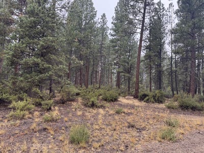 /international/us/stillwater-way-lot-16-chiloquin-or-110106171718/