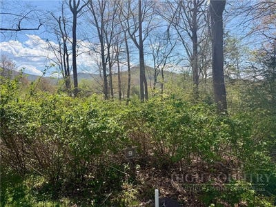 /international/us/pasture-lane-lot-9-banner-elk-nc-110107733490/