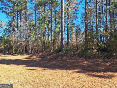 /international/us/shoreline-drive-kingsland-ga-110105426005/