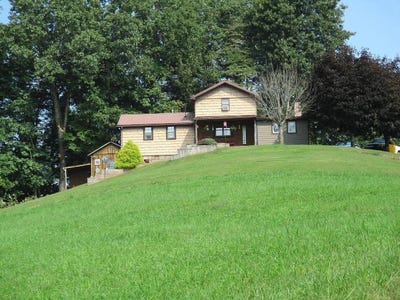 /international/us/702-kight-ward-rd-grantsville-wv-110105844859/