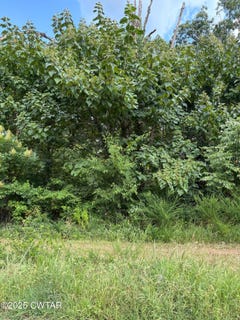 /international/us/588-marina-ridge-road-holladay-tn-110101245733/