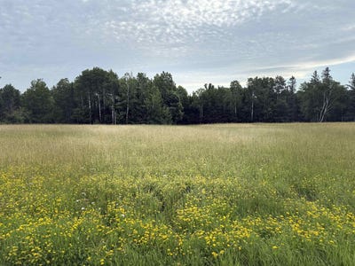 /international/us/0000-range-line-rd-iron-river-wi-110101167831/?lang=zh-tw