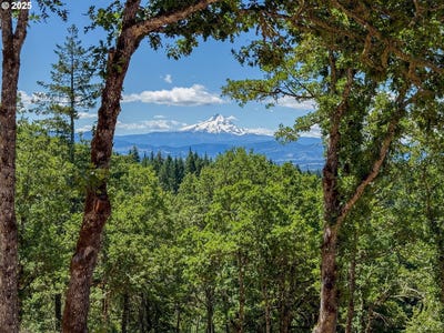 /international/us/34-jewett-creek-loop-rd-white-salmon-wa-110100657582/