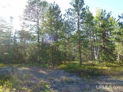 /international/us/51734-rice-lake-lake-linden-mi-110100996784/
