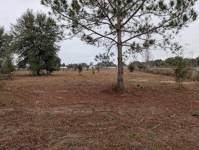 /international/us/se-15th-ave-trenton-fl-110105064703/