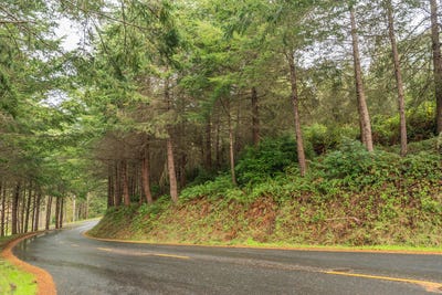 /international/us/710-upper-pacific-drive-shelter-cove-ca-110104028816/