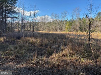 /international/us/lot-4b-mollyfield-road-dagsboro-de-110103393387/