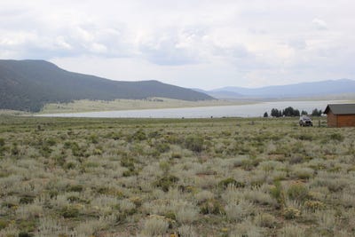 /international/us/tbd-koala-court-eagle-nest-nm-110095712123/