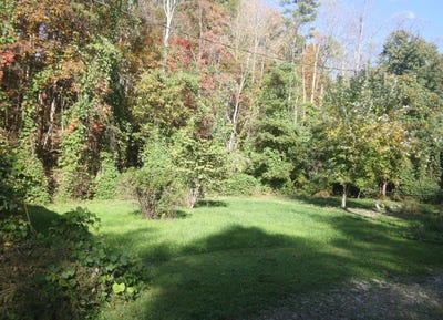 /international/us/135-kentucky-3445-mckee-ky-110107289073/