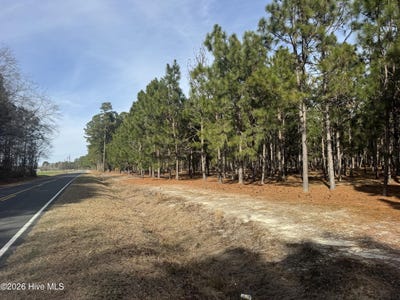 /international/us/butler-mill-road-lot-tract-3-bladenboro-nc-110106062770/