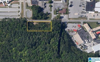 /international/us/henry-road-lot-0-jacksonville-al-110098669756/