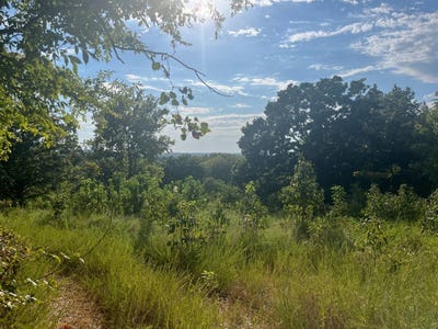 /international/us/8075-state-highway-82-locust-grove-ok-110119631199/
