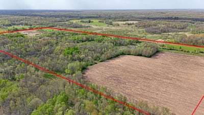 /international/us/135th-street-ne-foreston-mn-110108168233/