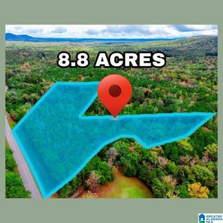 /international/us/bear-creek-road-lot-0-sterrett-al-110103987995/