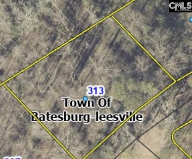 /international/us/313-chesterfield-court-leesville-sc-110107085794/