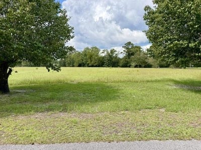 /international/us/holly-view-ln-loris-sc-110110276958/