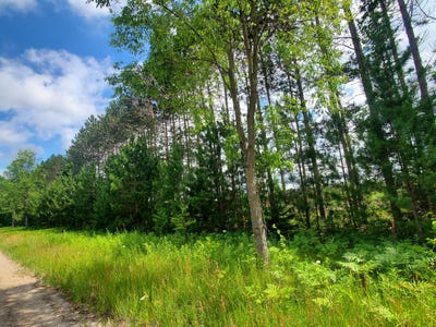 /international/us/80-acres-beall-road-bear-lake-mi-110100901237/?lang=zh-cn
