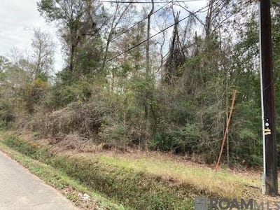 /international/us/lot-31-lucien-st-denham-springs-la-110108225810/