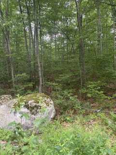 /international/us/20-forest-ridge-drive-lot-14-middlebury-vt-110104292839/