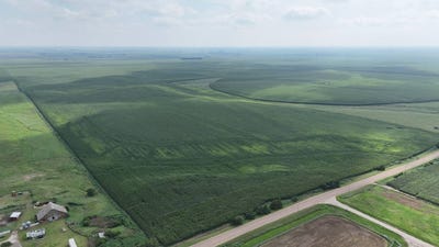 /international/us/rd-323-x-rd-sutton-ne-110101452292/?lang=zh-cn