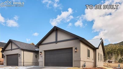 /international/us/523-brecken-court-woodland-park-co-110099694196/