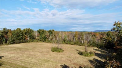 /international/us/wood-road-freeville-ny-110120414465/